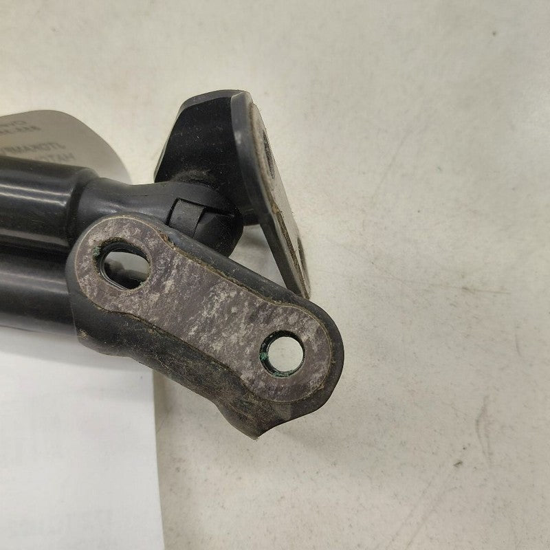 Toyota Prius Hatchback Hatch Back Trunk Lid Shock Strut Support  2022 