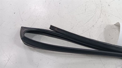 Honda Civic Door Glass Window Seal Rubber Right Passenger Front 2013 2014 2015
