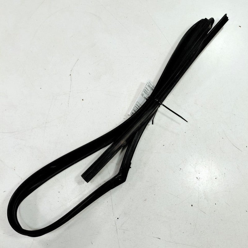 Hyundai Sonata Door Glass Window Seal Rubber Right Passenger Front  20