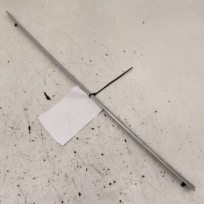 Cadillac CT6 Door Molding Trim Strip Left Driver Side Rear Back  2018 