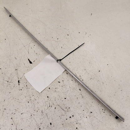 Cadillac CT6 Door Molding Trim Strip Left Driver Side Rear Back  2018 