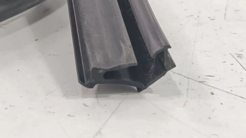 Lexus LS460 Door Glass Window Seal Rubber Left Rear Back  2007 2008 20