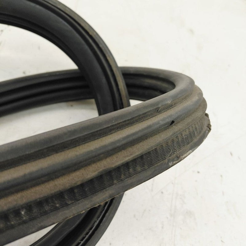 Ford Escape Trunk Lid Hatch Door Rear Back Rubber Seal  2022 2023 2024