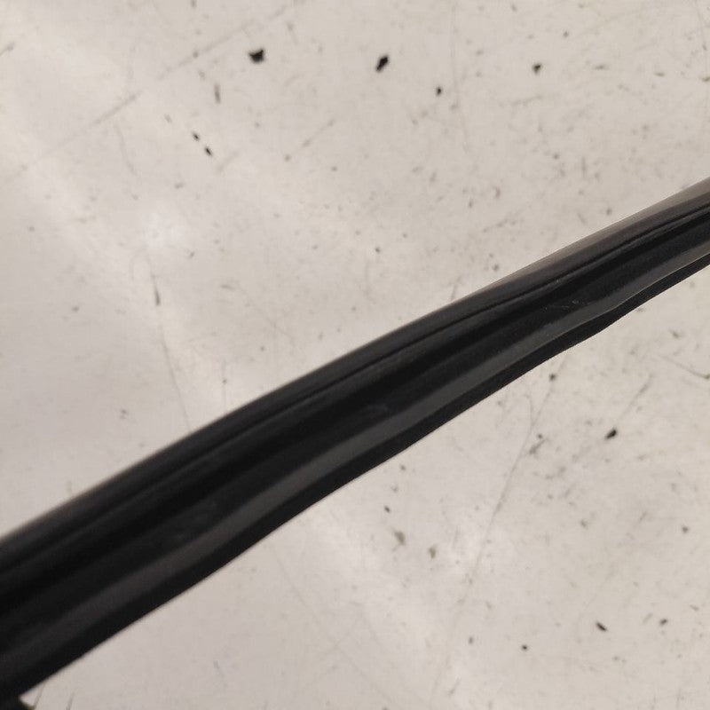 Chevy Volt Door Glass Window Weather Strip Trim Rear Left Driver Back 
