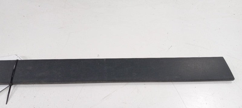 Subaru Tribeca Door Molding Trim Strip Left Driver Front 2010 2011 201