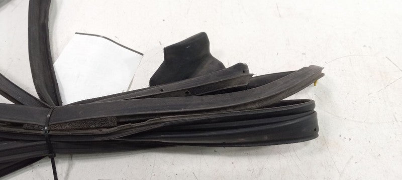 Lexus GS350 On Door Seal Rubber Left Rear Back 2007 2008 2009 OEM
