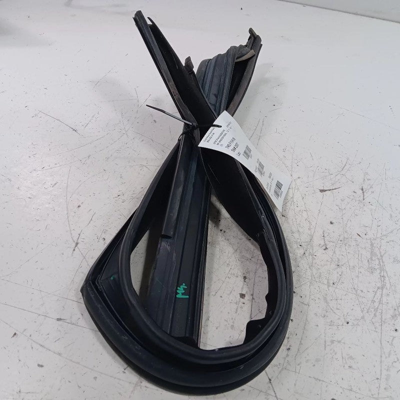 Fiat 500 Door Glass Window Seal Rubber Right Passenger Front 2018 OEM