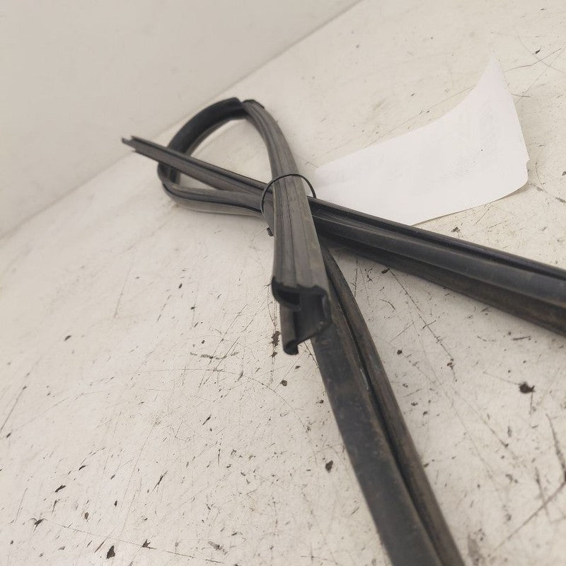 Honda CR-V Door Glass Window Seal Rubber Left Driver Front  2019 2018 