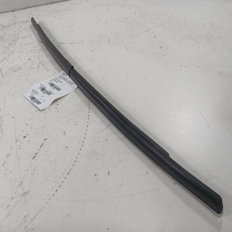 Ford Ecosport Door Glass Window Weather Strip Trim Front Right Passeng