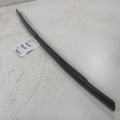 Ford Ecosport Door Glass Window Weather Strip Trim Front Right Passeng