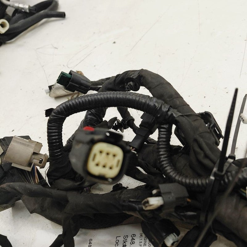 Ford Escape Engine Wire Wiring Harness  1.5 2022 2023 2024