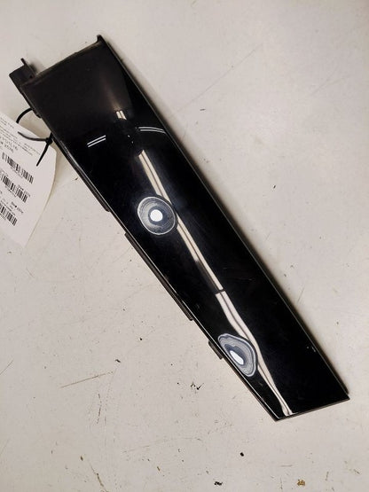 Ford Fusion Passenger Right Front Door Applique {ES73F20898CAW} 2016 2