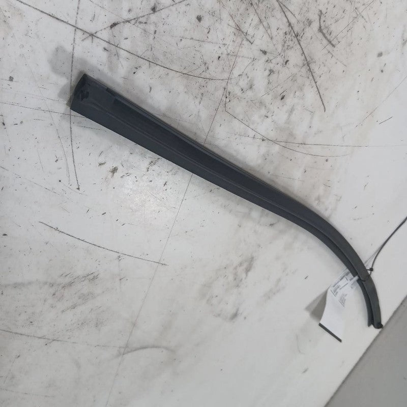 Hyundai Elantra Left Rear Weather Strip Interior  2017 2018 2019 2020