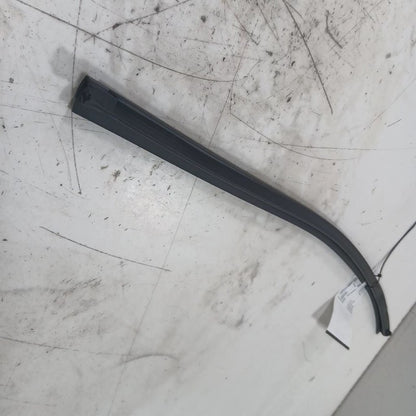 Hyundai Elantra Left Rear Weather Strip Interior  2017 2018 2019 2020