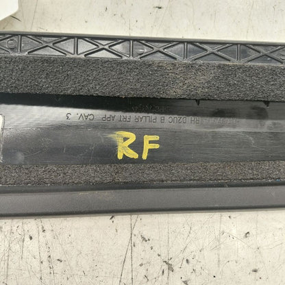 Chevy Equinox Passenger Right Front Door Applique  2024 2023 2022