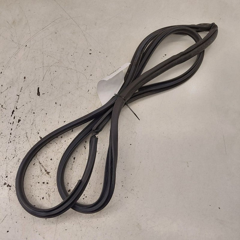 Lexus NX350 On Body Door Jamb Seal Rear Left Driver Back  2022 2023 20