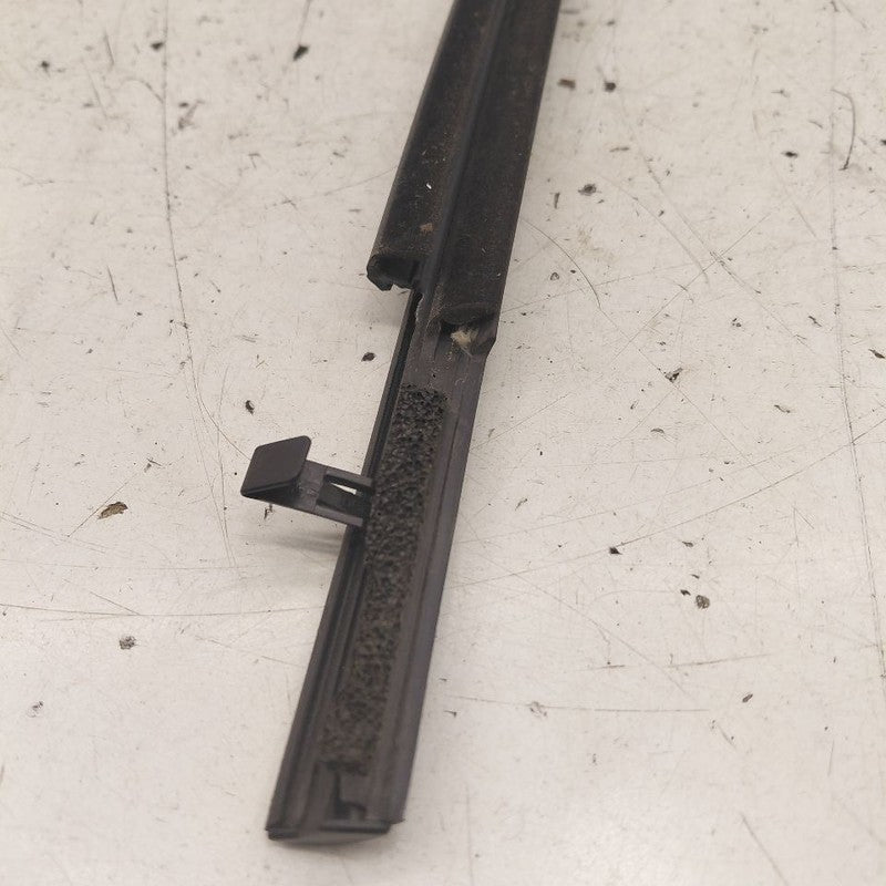 Toyota Prius Door Glass Window Weather Strip Trim Rear Left Driver Bac