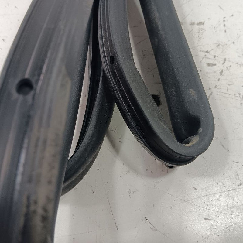 Ford Escape On Door Seal Rubber Right Passenger Front  2019 2018 2017 