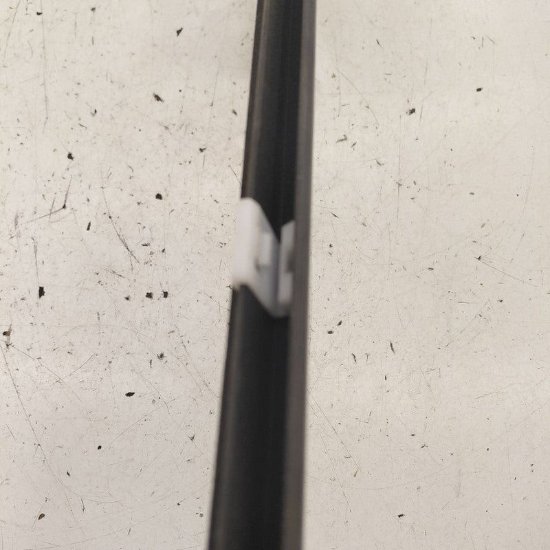 Hyundai Kona Door Glass Window Weather Strip Trim Front Right Passenge