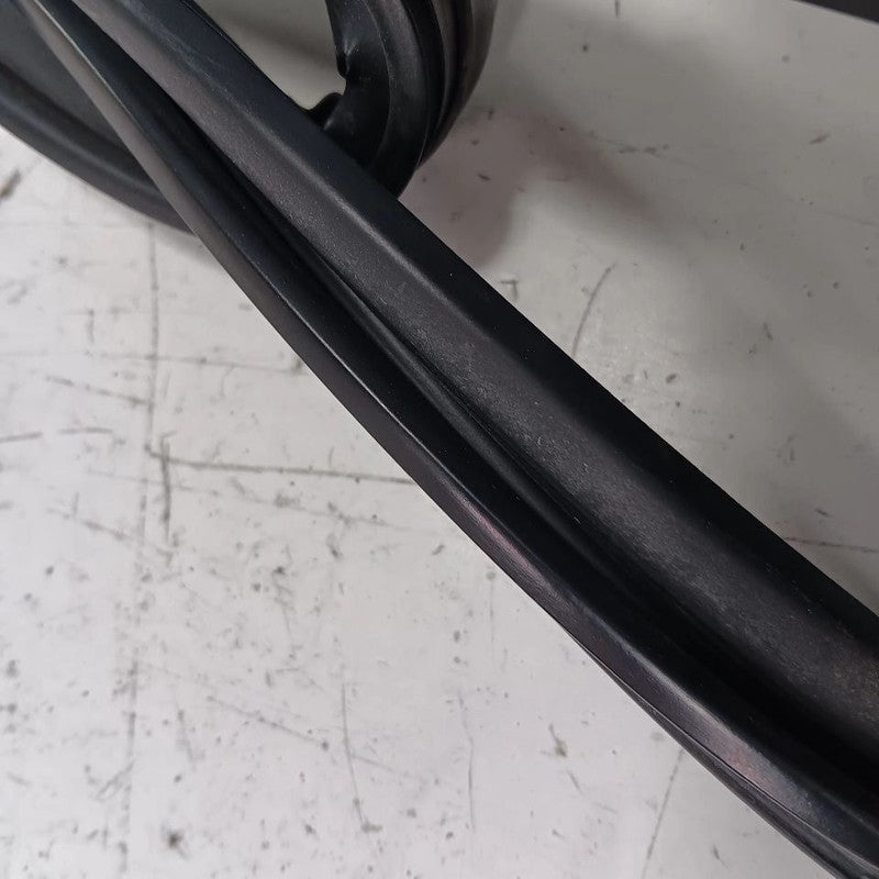 Nissan Maxima Door Glass Window Seal Rubber Right Passenger Front 2014
