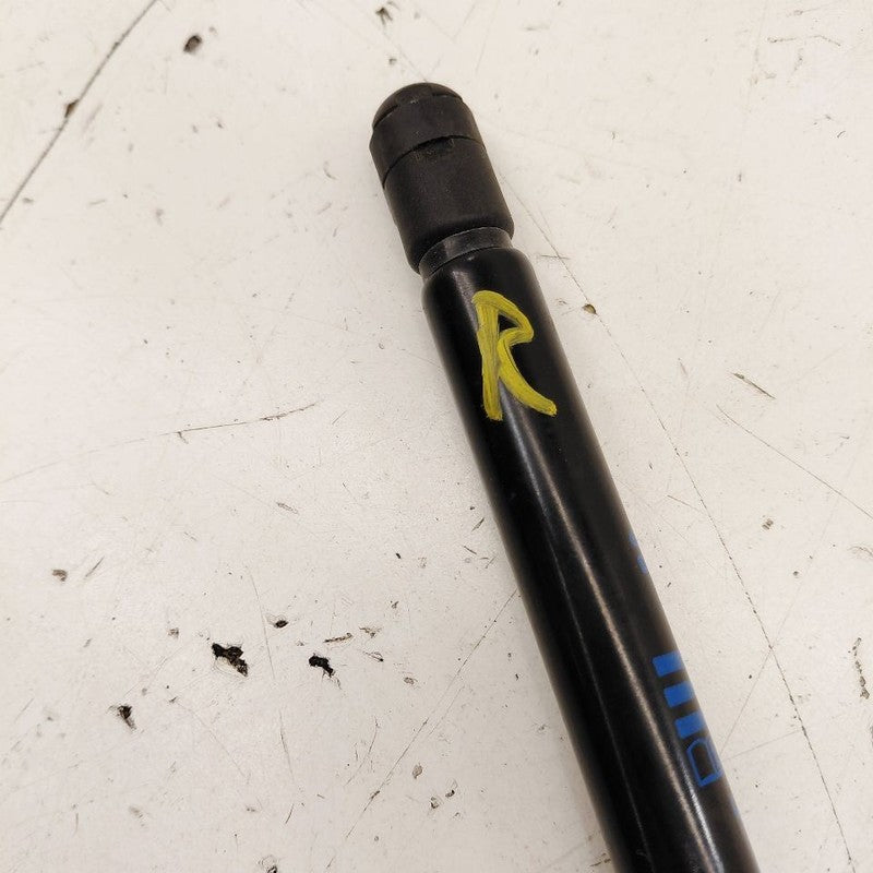Chevy Trailblazer Passenger Right Hatchback Trunk Lid Shock Strut Supp