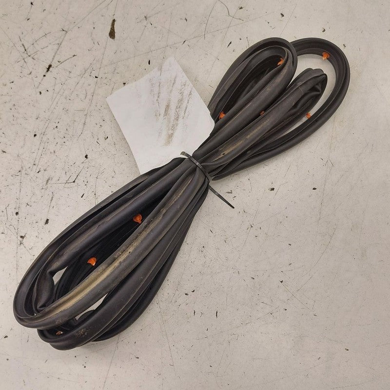Chevy Equinox On Door Seal Rubber Right Passenger Rear Back  2024 2023