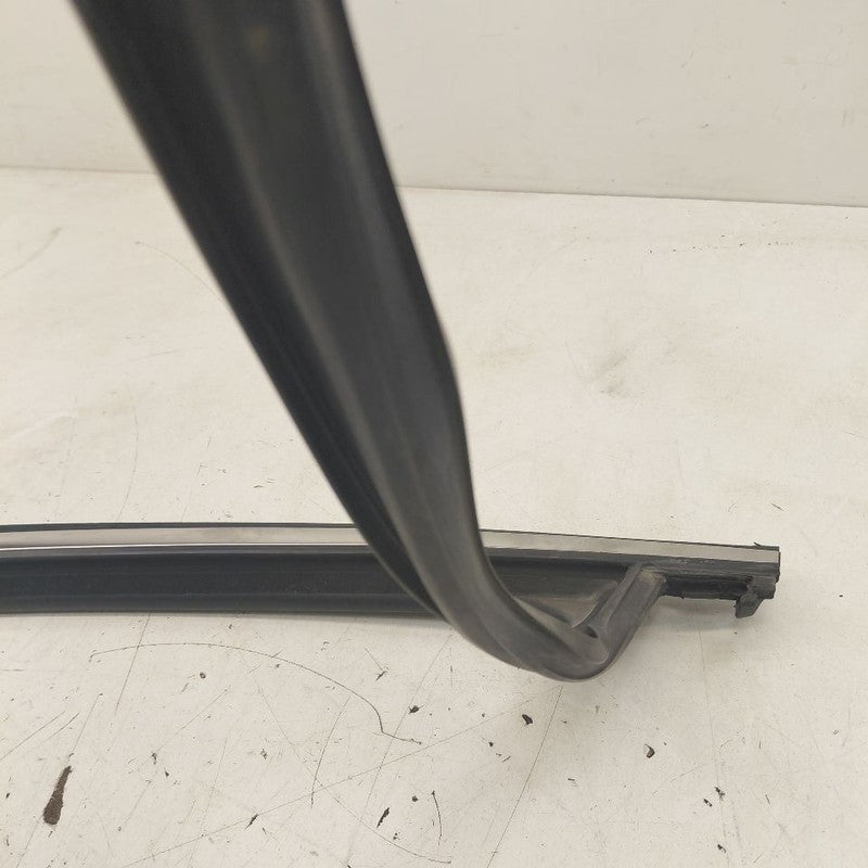Kia Sorento Door Glass Window Seal Rubber Left Driver Front  2018 2017