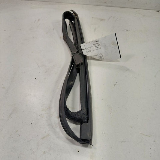 Ford Fusion Door Glass Window Seal Rubber Left Driver Rear Back  2016 