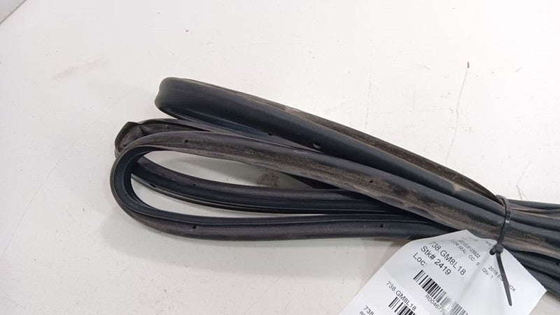 Chevrolet Equinox On Door Seal Rubber Right Passenger Rear Back 2018 2