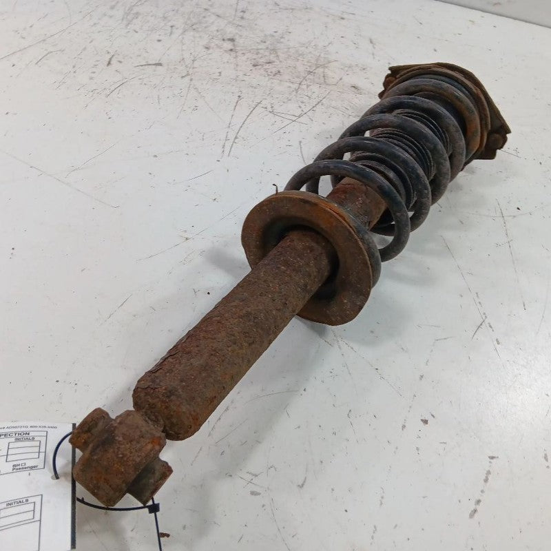 Passenger Right Rear Strut Wagon Fits 15-17 Subaru Legacy OEM