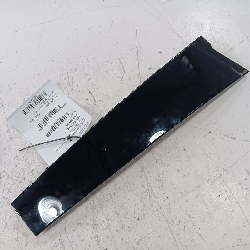 Chevy Malibu Left Rear Door Trim  2019 2020 2021 2022 2023 2024 OEM