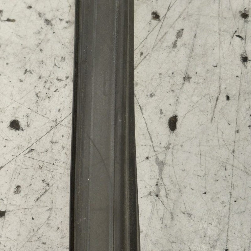 Ford Edge Door Glass Window Seal Rubber Right Passenger Rear Back 2019