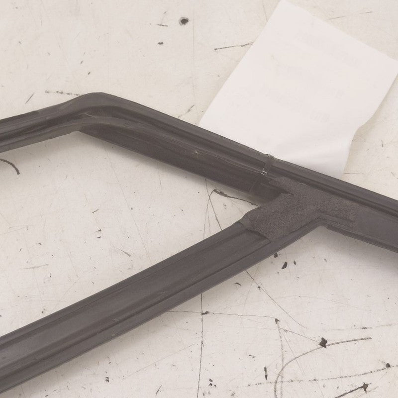 Ford Edge Door Glass Window Seal Rubber Right Passenger Front  2019 20