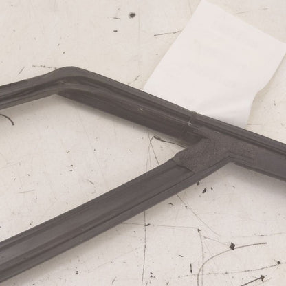 Ford Edge Door Glass Window Seal Rubber Right Passenger Front  2019 20