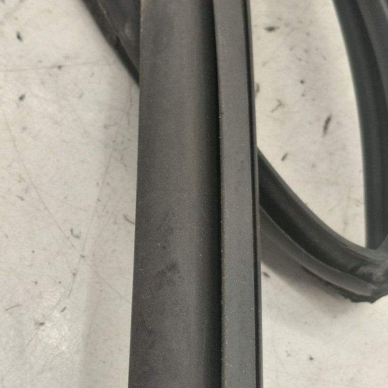 Hyundai Kona Door Glass Window Seal Rubber Right Passenger Rear Back  