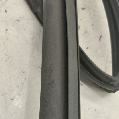 Hyundai Kona Door Glass Window Seal Rubber Right Passenger Rear Back  