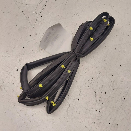 Ford Escape On Door Seal Rubber Right Passenger Rear Back  2020 2021 2
