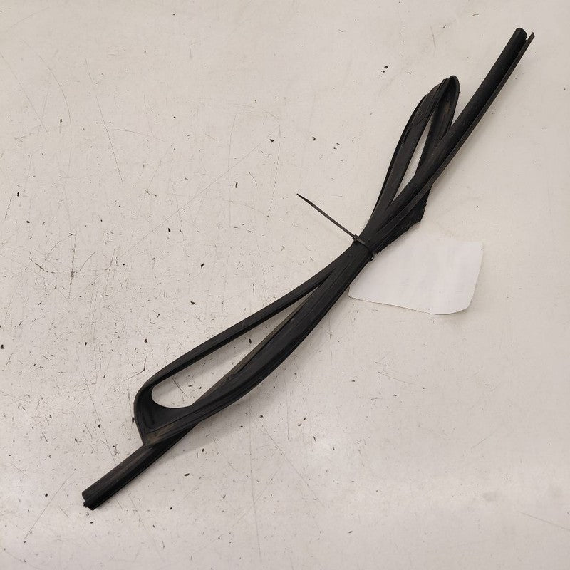 Honda Clarity Door Glass Window Seal Rubber Left Driver Rear Back 2018