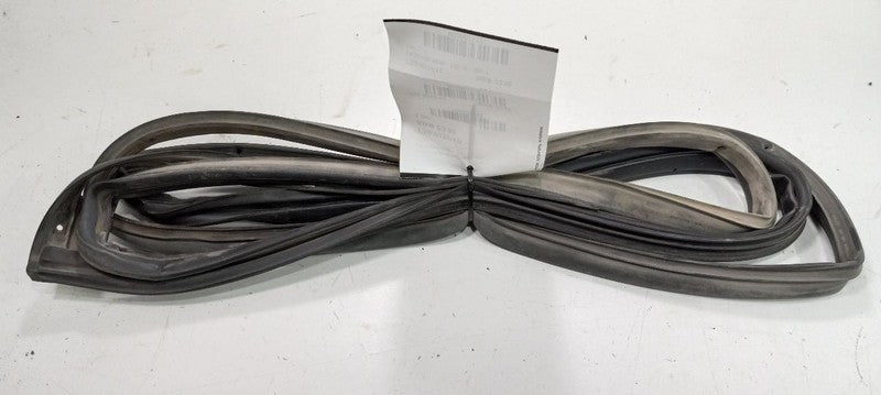 Kia Forte On Door Seal Rubber Left Rear Back 2010 2011 2012 2013 OEM