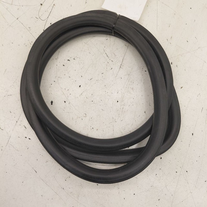 Chevy Volt On Body Door Jamb Seal Rear Left Driver Back  2019 2018 201