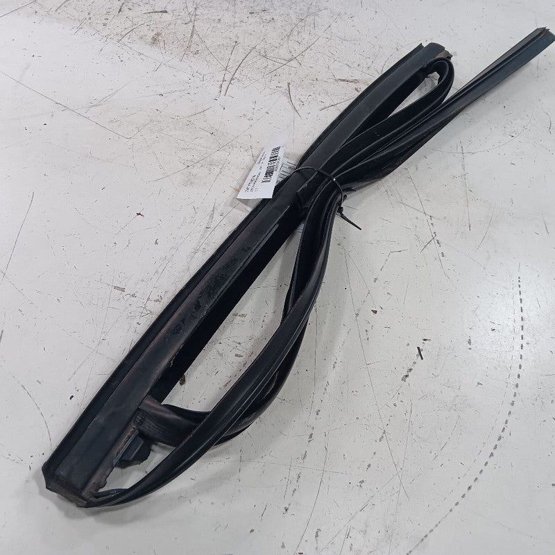 Ford Escape Door Glass Window Seal Rubber Left Driver Rear Back  2019 