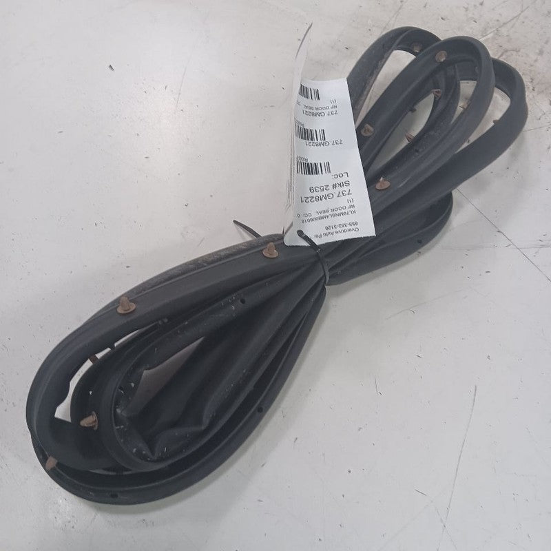 Chevy Trailblazer On Door Seal Rubber Right Passenger Front  2021 2022