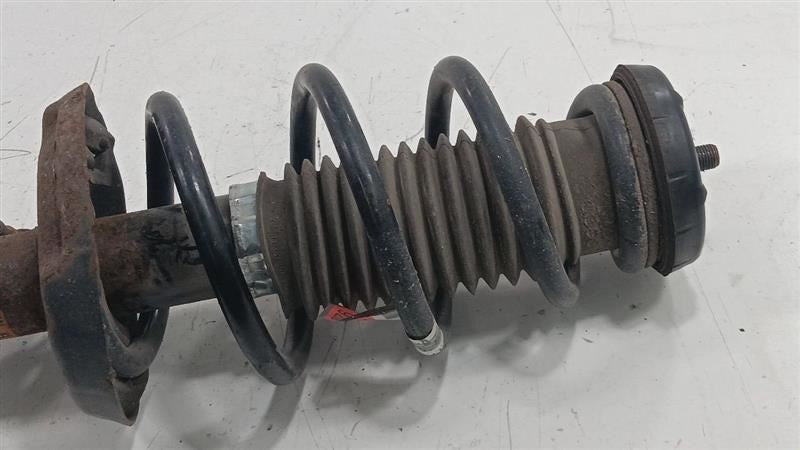Passenger Right Strut Fits 13-14 VOLT OEM