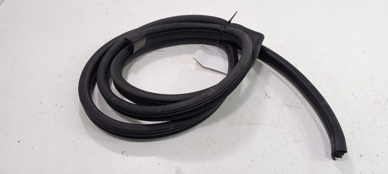 Kia Soul On Body Door Jamb Seal Rear Left Back 2012 2013 OEM