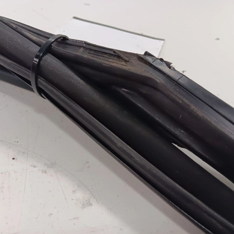 Honda CR-V Door Glass Window Seal Rubber Right Passenger Rear Back  20