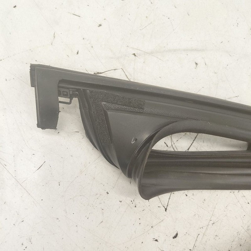Hyundai Santa Fe Door Glass Window Seal Rubber Left Driver Front  2019