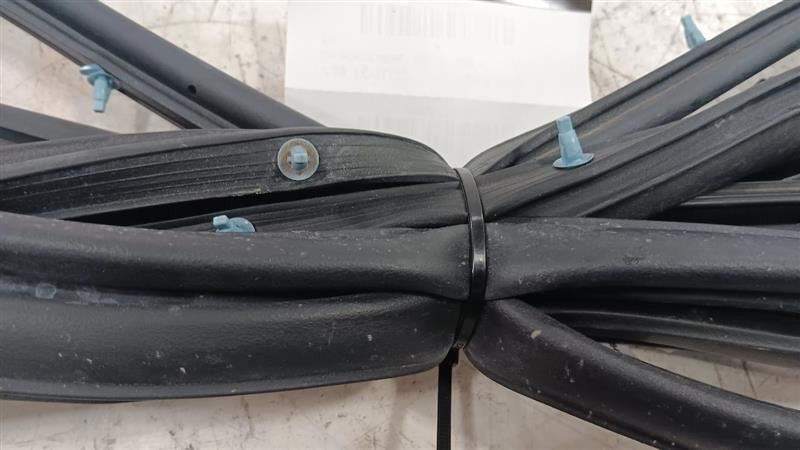 Toyota Camry On Door Seal Rubber Left Rear Back  2021 2022 2023 OEM