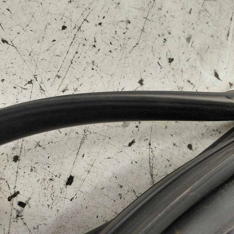 Cadillac CT6 On Door Seal Rubber Left Driver Front  2018 2017 2016