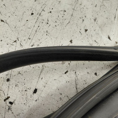 Cadillac CT6 On Door Seal Rubber Left Driver Front  2018 2017 2016