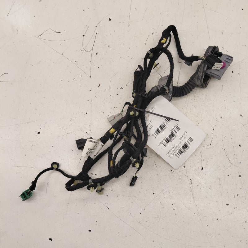 Chevy Volt Door Harness Wire Wiring Left Driver Rear  2016 2017 2018 2